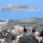 Casa Il Podere * تويلادا