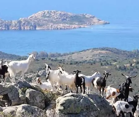 Casa Il Podere * Teulada