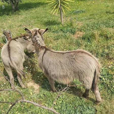 Casa de Férias Casa Il Podere Teulada